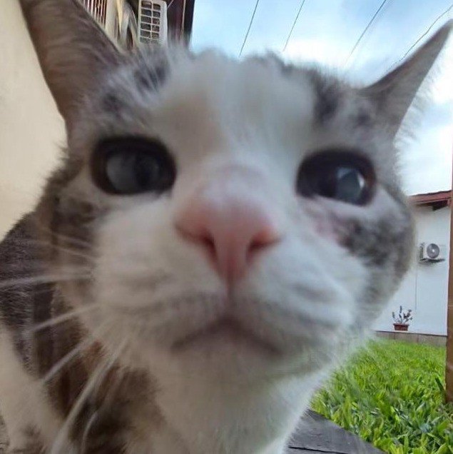 Foto de perfil original de CalaBocaJulia